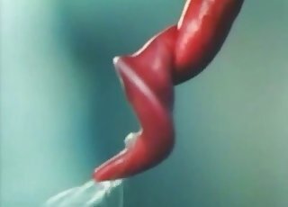 Anal Zoofilia