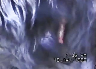 Twisted handjob for a crazy horse